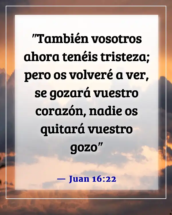 Versículos de la Biblia sobre extrañar a alguien que amas (Juan 16:22)