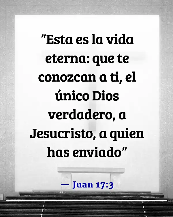 Versículos de la Biblia sobre el deseo de Dios de tener una relación con nosotros (Juan 17:3)