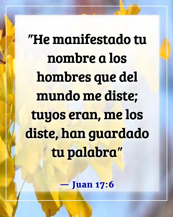 Versículos de la Biblia sobre las enseñanzas de Jesús a sus discípulos (Juan 17:6)