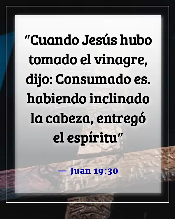 Versículos de la Biblia sobre el sufrimiento de Jesús por nuestros pecados (Juan 19:30)