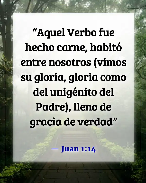 Versículos de la Biblia sobre el gozo al mundo, el Señor ha venido (Juan 1:14)