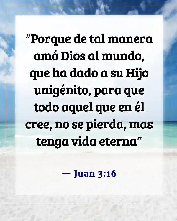 Versículos bíblicos sobre lo valiosos que somos para Dios (Juan 3:16)