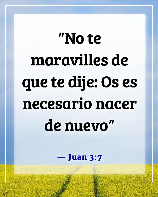 Versículos de la Biblia sobre la adopción en la familia de Dios (Juan 3:7)