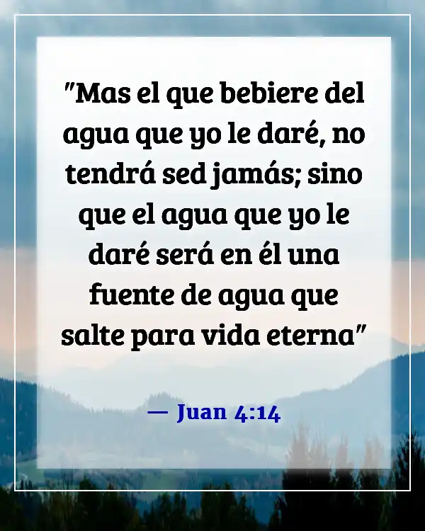 Versículo de la Biblia: Alimento para el alma (Juan 4:14)