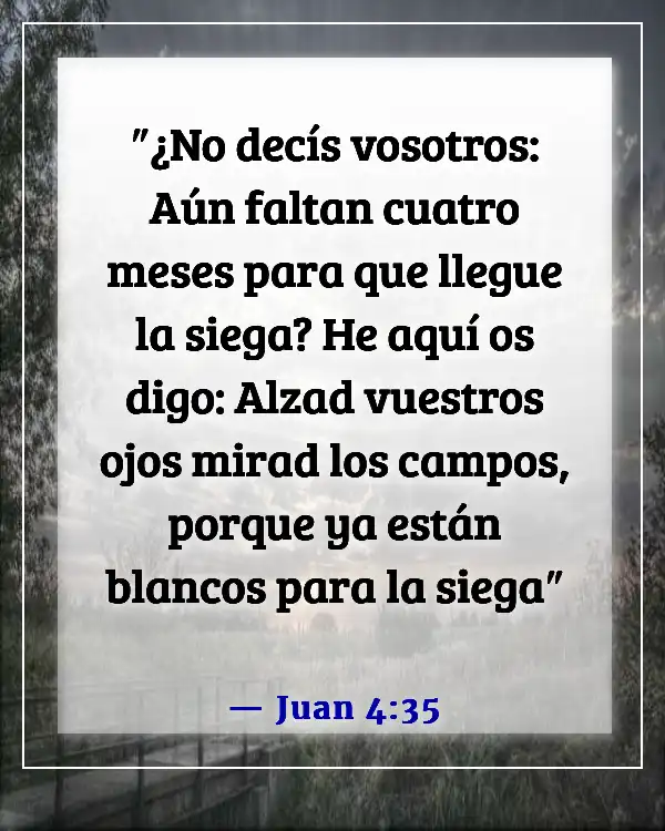 Versículos de la Biblia sobre predicar y ministrar a los incrédulos (Juan 4:35)