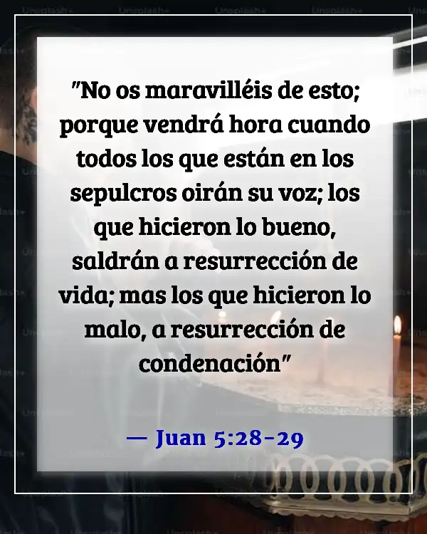 Versículos de la Biblia sobre recordar a los muertos (Juan 5:28-29)