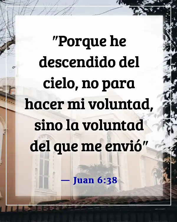 Versículos de la Biblia sobre Jesús cumpliendo la voluntad del Padre (Juan 6:38)