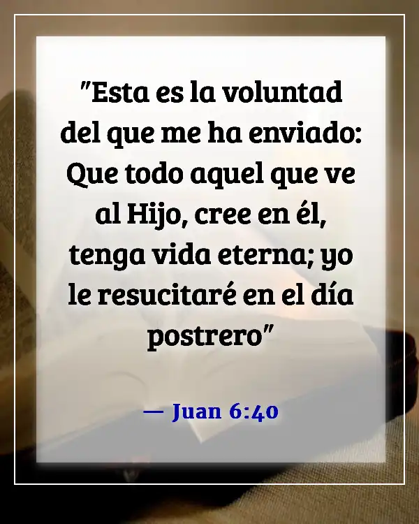 Versículos de la Biblia sobre la salvación solo a través de Cristo (Juan 6:40)