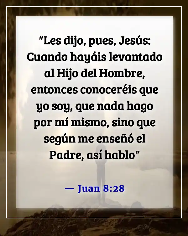 Versículos de la Biblia sobre Jesús cumpliendo la voluntad del Padre (Juan 8:28)