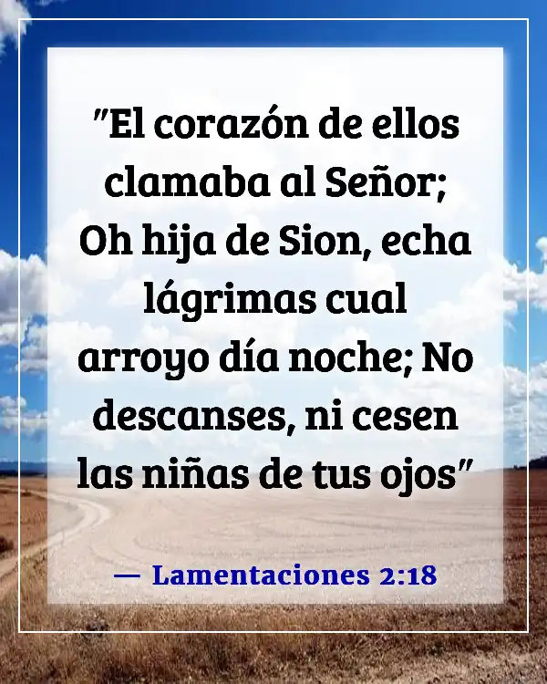 Versículo de la Biblia sobre Dios recogiendo nuestras lágrimas (Lamentaciones 2:18)