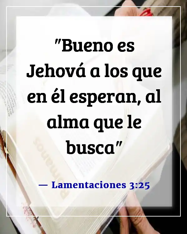 Versículos de la Biblia sobre el deseo de Dios de nuestro bien (Lamentaciones 3:25)