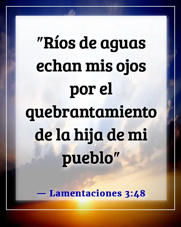 Versículo de la Biblia sobre Dios recogiendo nuestras lágrimas (Lamentaciones 3:48)