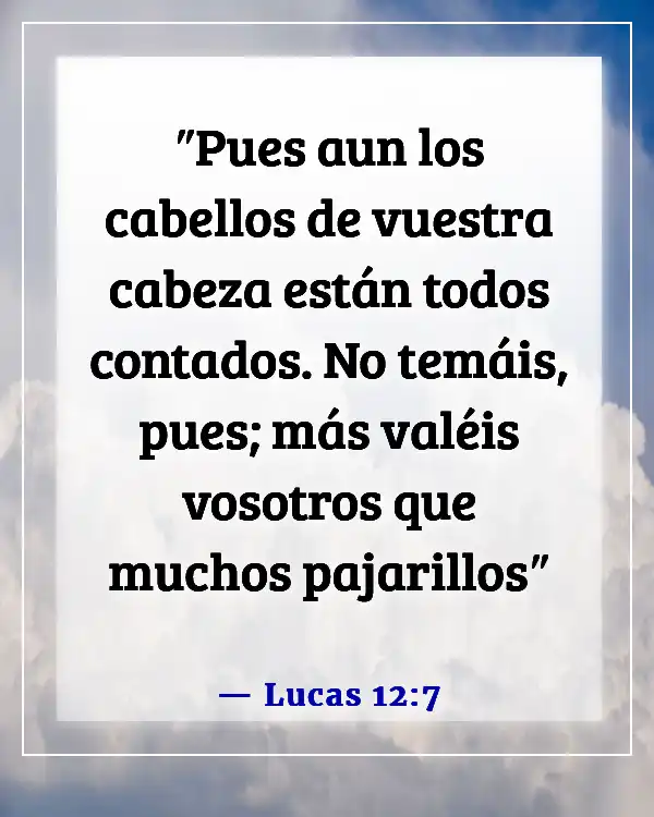 Versículos de la Biblia sobre el amor propio (Lucas 12:7)