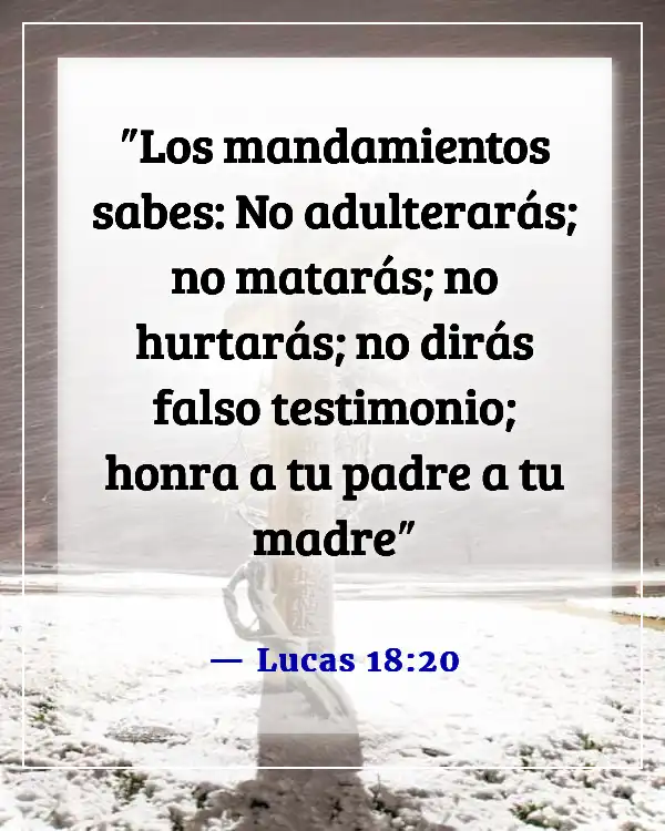 Versículos de la Biblia sobre dar falso testimonio (Lucas 18:20)