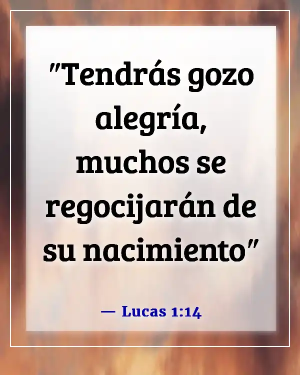 Versículos de la Biblia sobre el gozo al mundo, el Señor ha venido (Lucas 1:14)