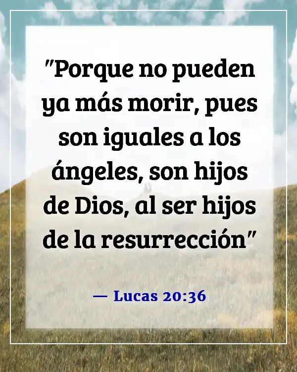 Versículos de la Biblia sobre la adopción en la familia de Dios (Lucas 20:36)