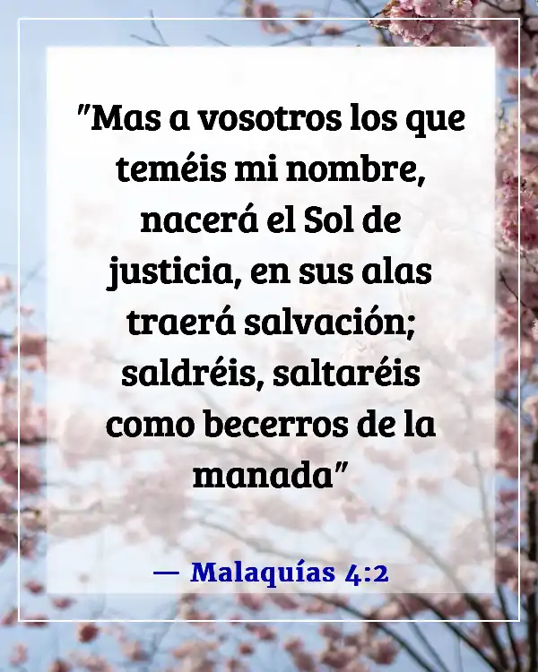 Versículos de la Biblia sobre Dios sanando a los enfermos (Malaquías 4:2)