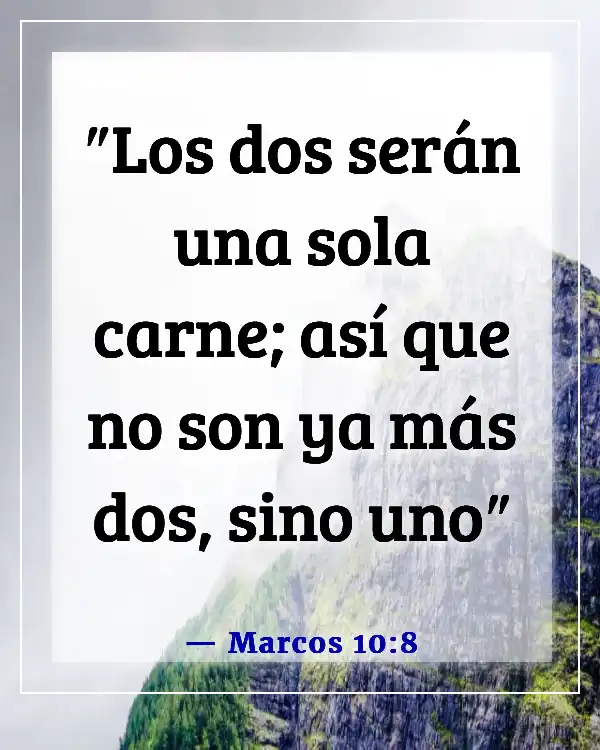 Versículos de la Biblia sobre la transparencia en el matrimonio (Marcos 10:8)