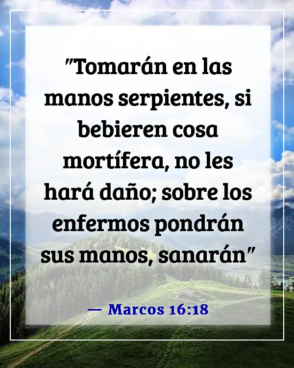 Versículos de la Biblia sobre Dios sanando a los enfermos (Marcos 16:18)