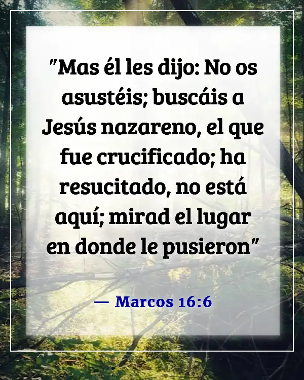 Versículos bíblicos sobre Jesús venciendo la muerte (Marcos 16:6)