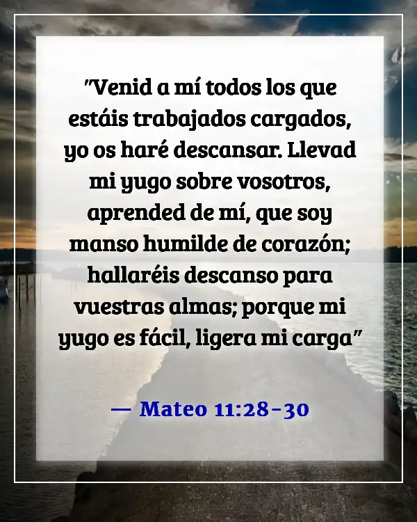 Versículos de la Biblia sobre dejar el pasado atrás (Mateo 11:28-30)