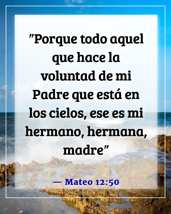 Versículos de la Biblia sobre Jesús cumpliendo la voluntad del Padre (Mateo 12:50)