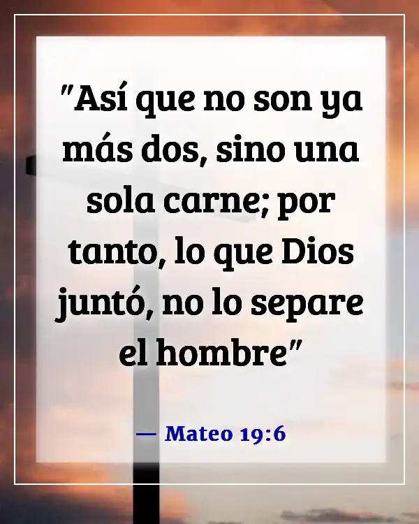 Esposo y esposa reunidos en el cielo versículo bíblico (Mateo 19:6)