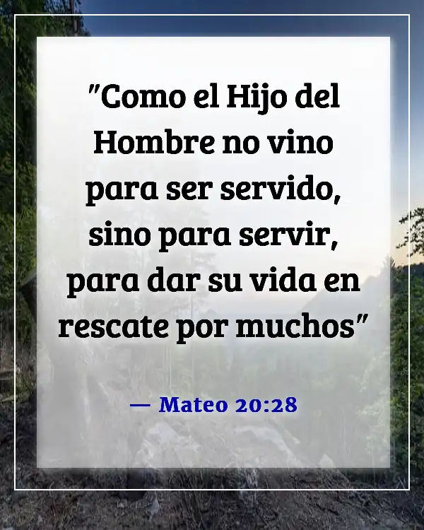 Versículos de la Biblia sobre el sufrimiento de Jesús por nuestros pecados (Mateo 20:28)