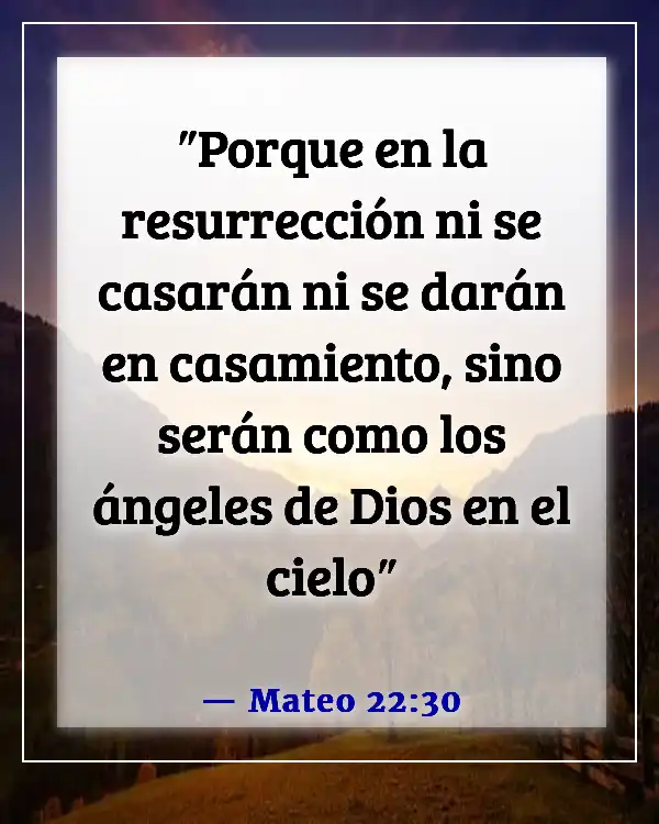 Versículos de la Biblia sobre casarse y dejar a la familia (Mateo 22:30)