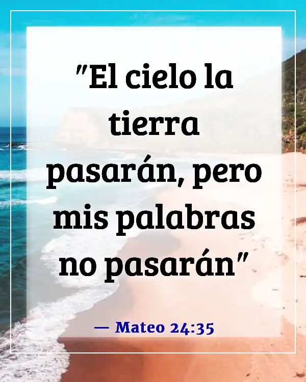 Versículo de la Biblia: Alimento para el alma (Mateo 24:35)