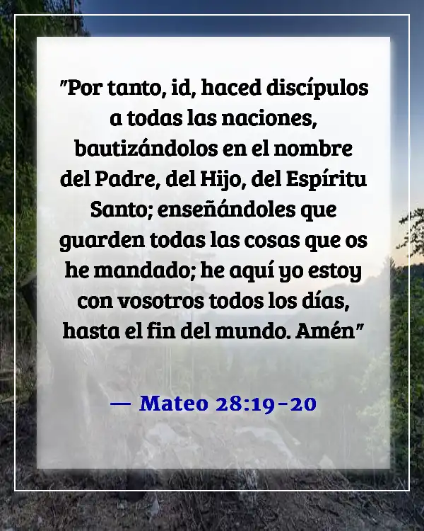 Versículos bíblicos para apreciar a los pastores y honrarlos (Mateo 28:19-20)