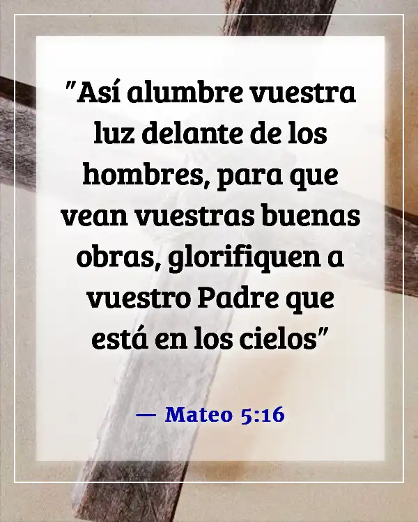 Versículos de la Biblia sobre ser dado por sentado (Mateo 5:16)