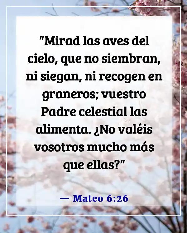 Versículos bíblicos sobre lo valiosos que somos para Dios (Mateo 6:26)