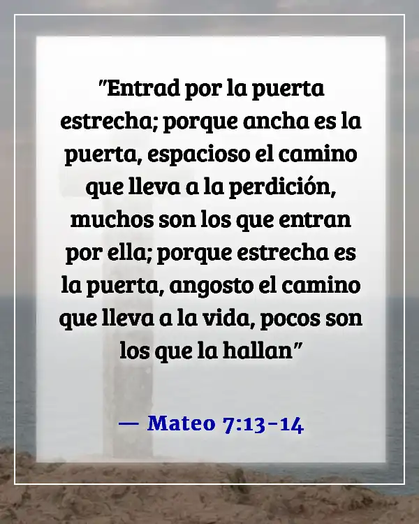 Versículos de la Biblia sobre elegir y caminar por el camino correcto (Mateo 7:13-14)