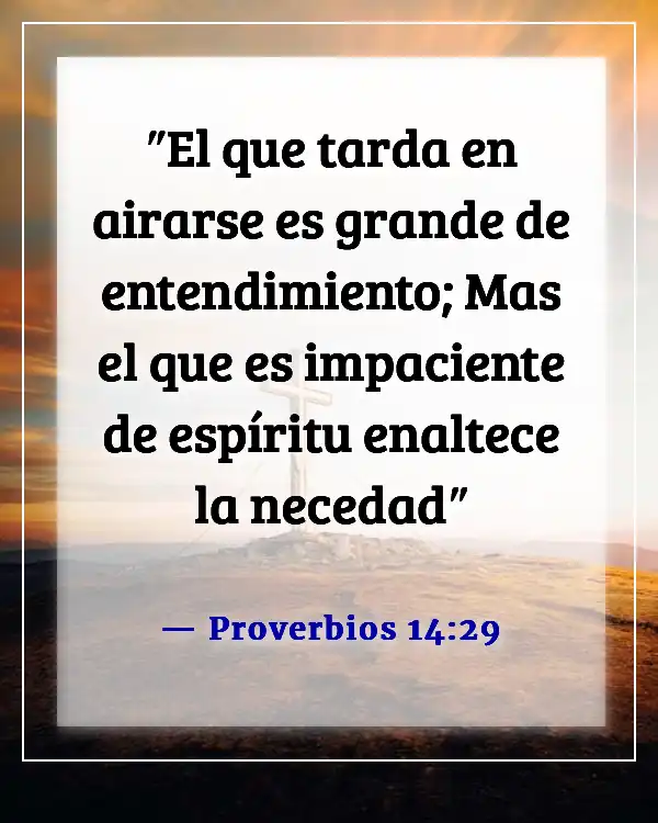 Versículos de la Biblia sobre la paciencia en las relaciones (Proverbios 14:29)