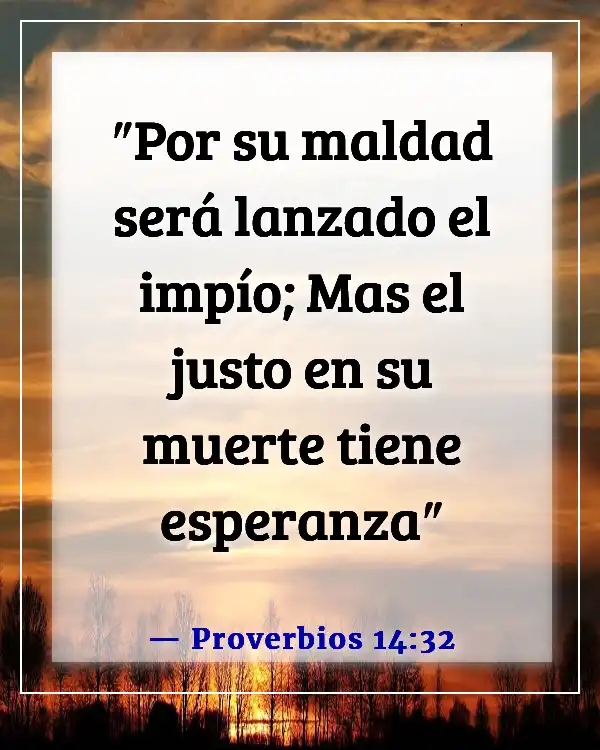 Versículo de la Biblia sobre encontrar paz en la muerte (Proverbios 14:32)