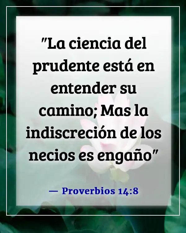 Versículos de la Biblia sobre ir por el camino equivocado (Proverbios 14:8)