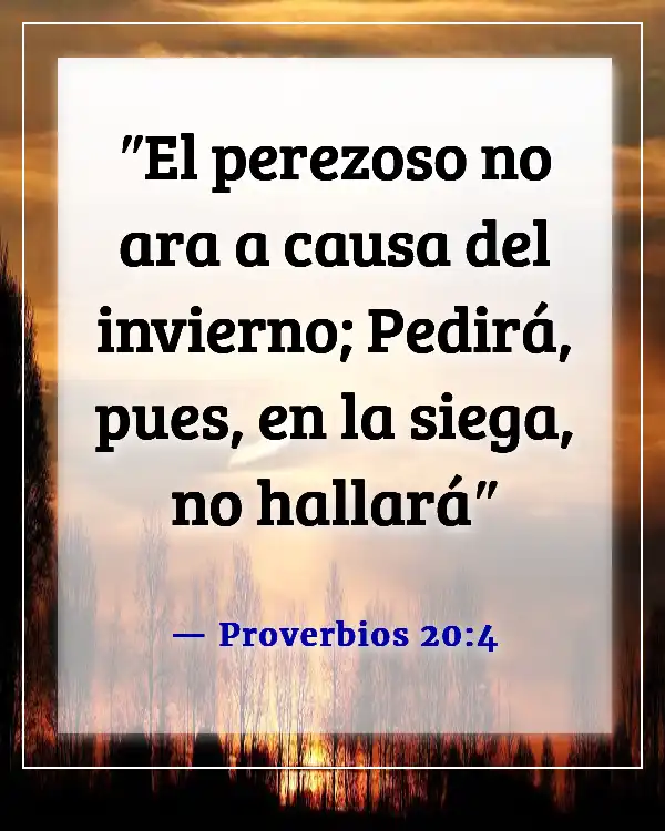 Versículo de la Biblia sobre la pereza como un pecado (Proverbios 20:4)