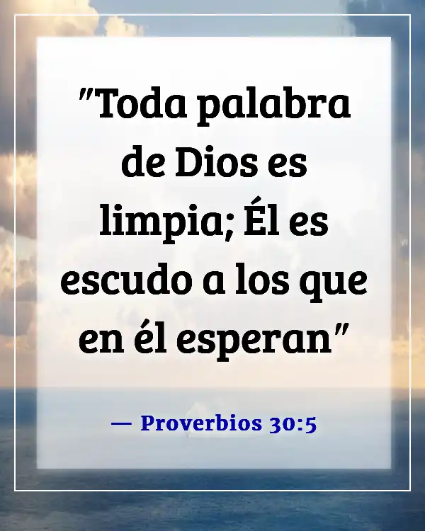 Versículos de la Biblia sobre la Palabra de Dios (Proverbios 30:5)