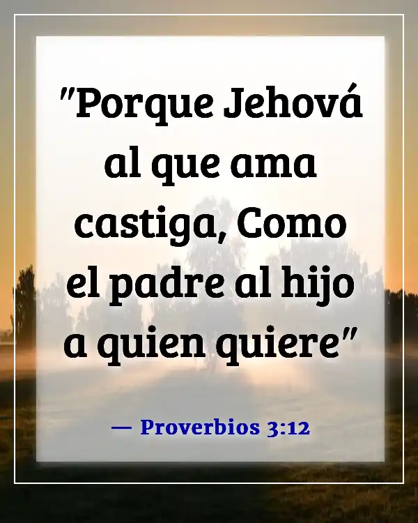 Versículo de la Biblia sobre el padre proveyendo para la familia (Proverbios 3:12)