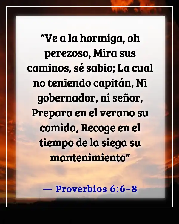 Versículos de la Biblia sobre Proveer para tu Familia (Proverbios 6:6-8)