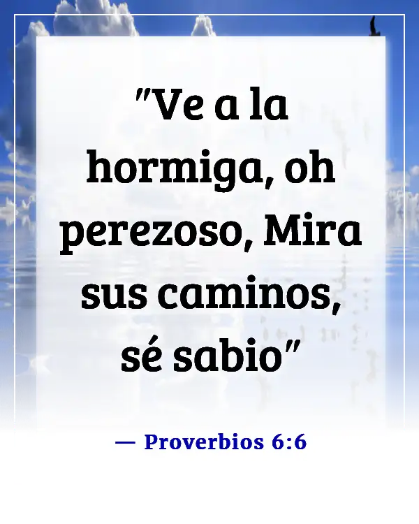 Versículos de la Biblia para vencer la pereza y la procrastinación (Proverbios 6:6)