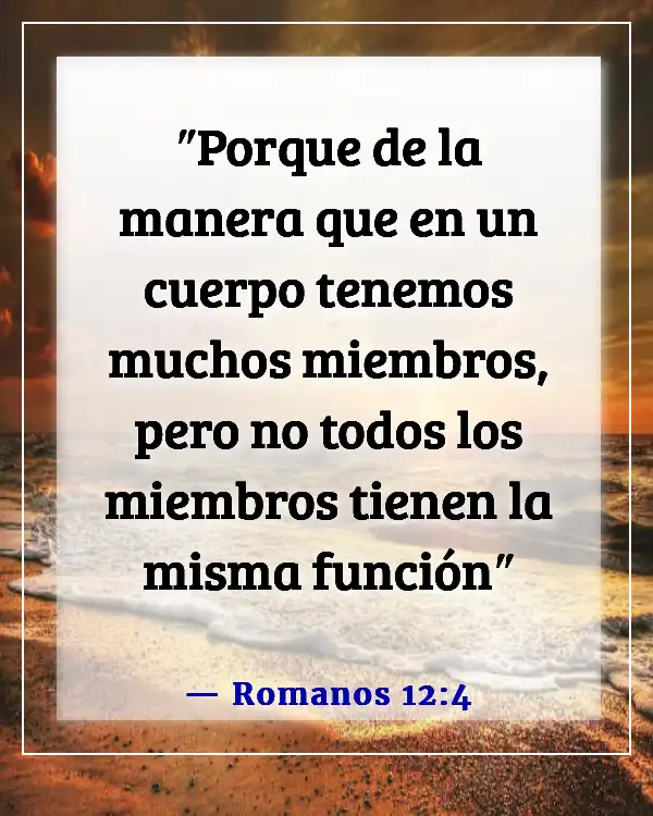 Versículos de la Biblia sobre la importancia de cada persona (Romanos 12:4)