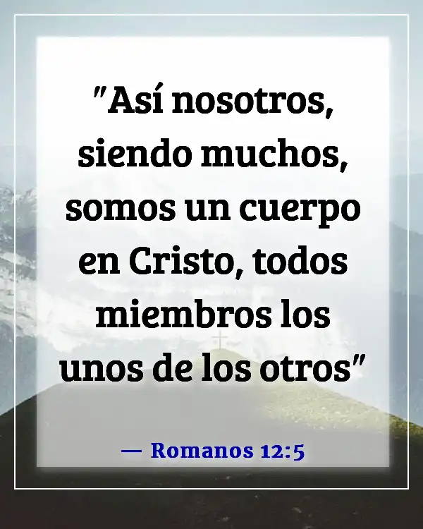 Versículo de la Biblia sobre las partes del cuerpo trabajando juntas (Romanos 12:5)