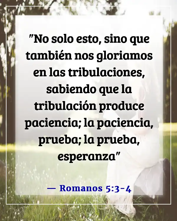 Versículo de la Biblia sobre los desafíos en el trabajo (Romanos 5:3-4)