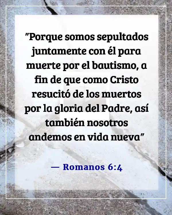 Versículos de la Biblia sobre cambiar tu vida (Romanos 6:4)