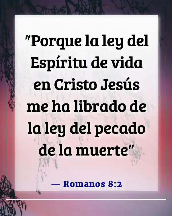 Versículos de la Biblia sobre estar en Cristo (Romanos 8:2)