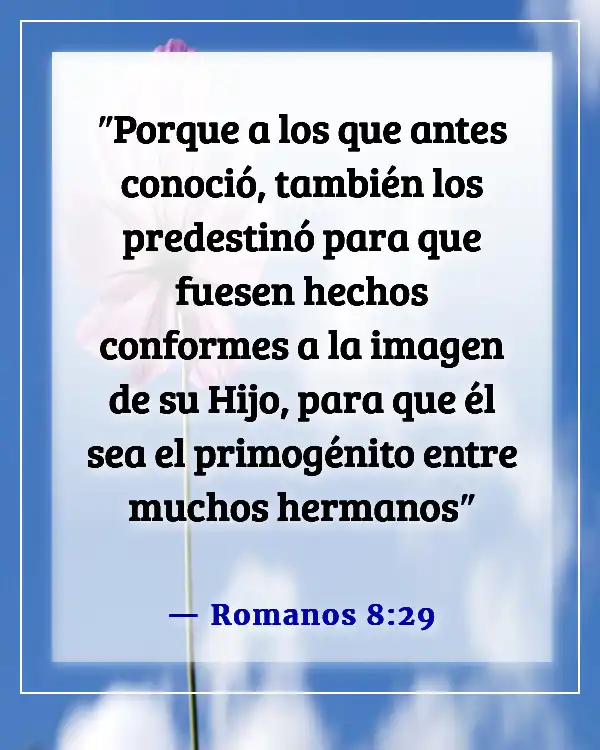 Versículos de la Biblia sobre ser transformados a la imagen de Cristo (Romanos 8:29)