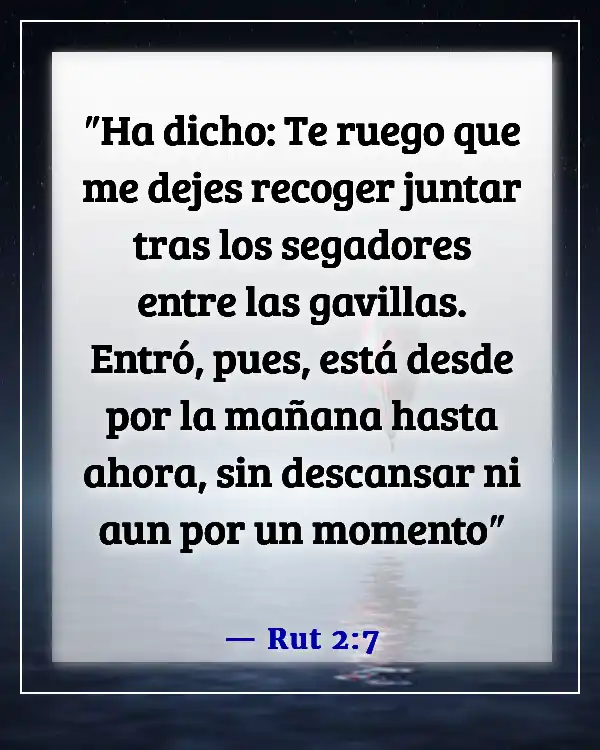 Versículos de la Biblia sobre la mujer trabajadora (Rut 2:7)