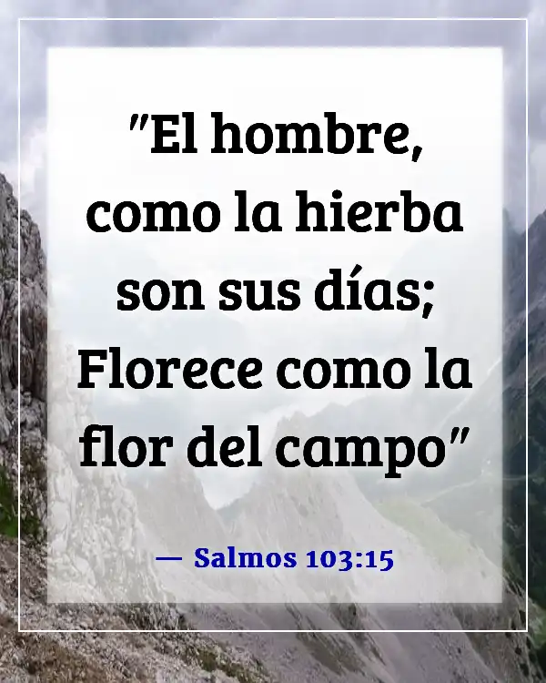 Versículo de la Biblia sobre el paso rápido del tiempo (Salmos 103:15)